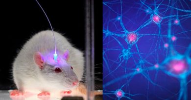 Científicos desarrollan un método para borrar los recuerdos usando luz