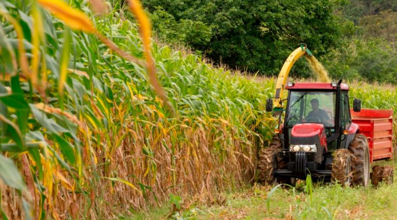 Decreto de AMLO contra maíz transgénico no está basado en la ciencia, acusan legisladores de EU