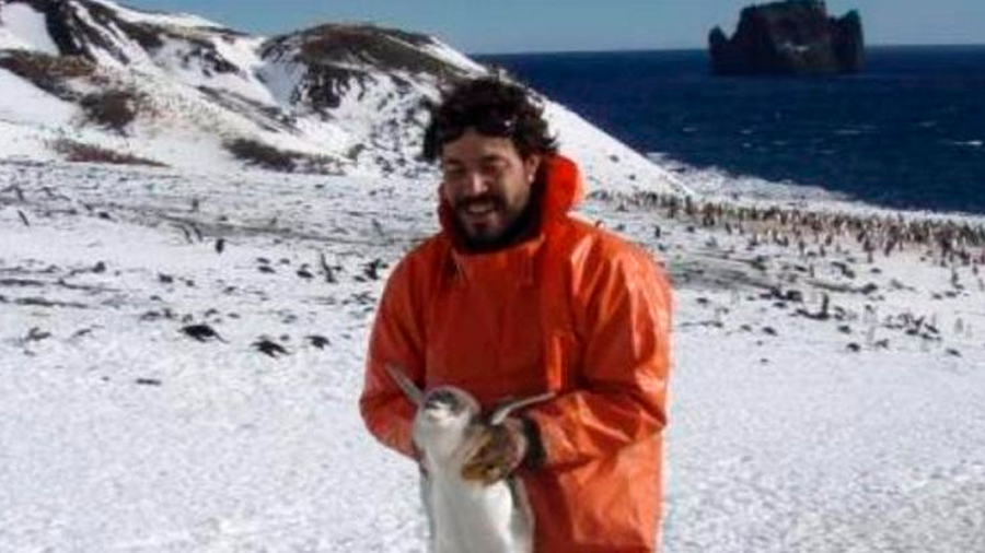 Descubren altos niveles de mercurio en los pingüinos de la Antártida