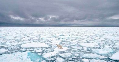 El océano Ártico empezó a calentarse décadas antes de lo que se pensaba