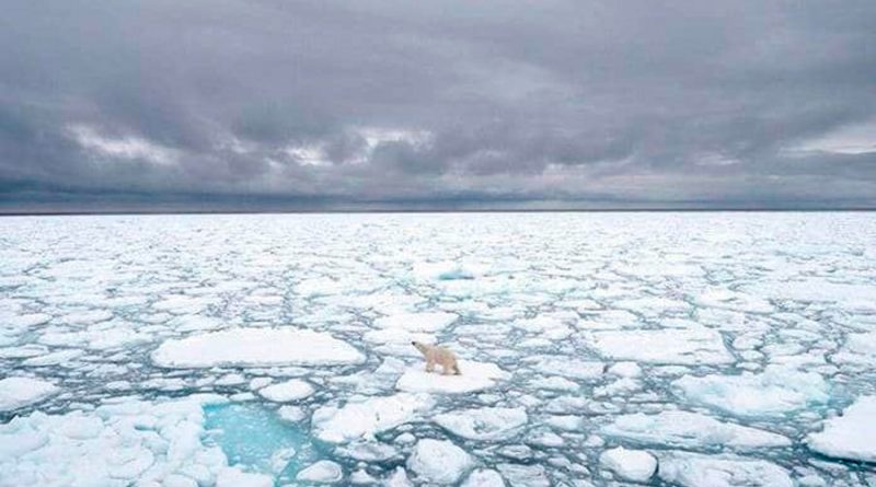 El océano Ártico empezó a calentarse décadas antes de lo que se pensaba