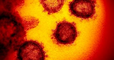 Científicos presentan al mundo primera imagen de la variante ómicron