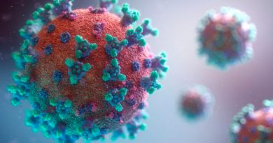 Científicos recodifican y atenúan coronavirus para crear vacuna intranasal