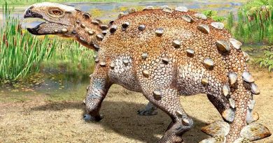 El "Stegouros", el dinosaurio descubierto con una cola que desconcierta a científicos