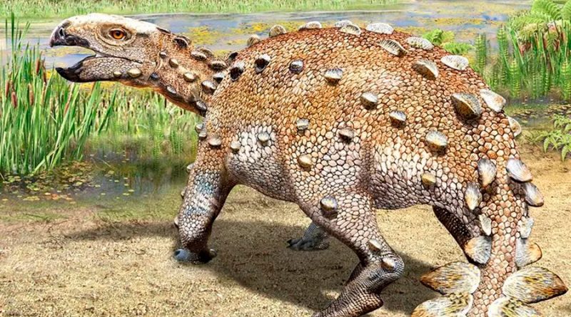 El "Stegouros", el dinosaurio descubierto con una cola que desconcierta a científicos