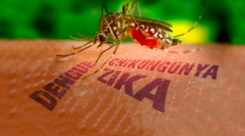 Estudio halla subregistro en México de casos de dengue, zika y chikunguña