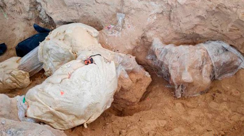 Hallan en México restos de mamut de hace 10 mil años