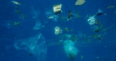 Así se ven los “parches” de microplásticos en los océanos desde satélites
