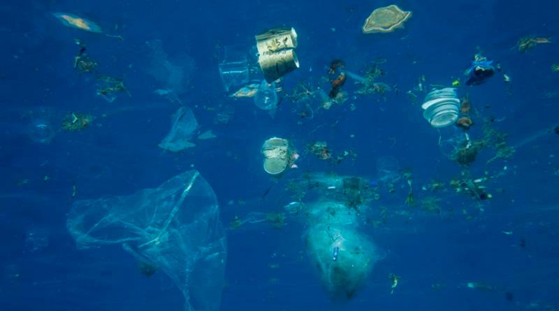 Así se ven los “parches” de microplásticos en los océanos desde satélites