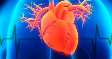 Un tejido sintético puede reparar corazones, músculos y curar heridas