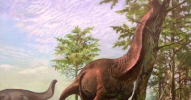 Los dinosaurios saurópodos quedaron restringidos a regiones cálidas