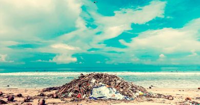 ¿Del mar a su mesa o de su mesa al mar? El círculo vicioso de la contaminación por microplásticos