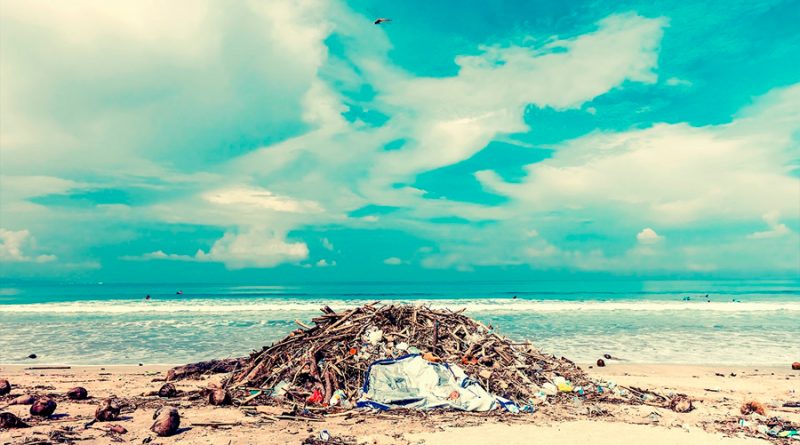 ¿Del mar a su mesa o de su mesa al mar? El círculo vicioso de la contaminación por microplásticos