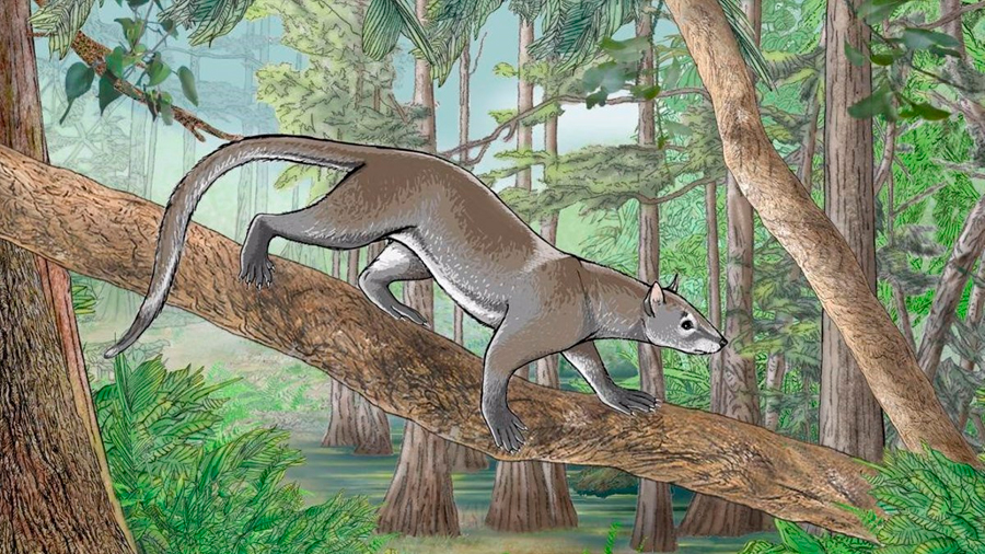 Los mamíferos modernos se originaron tras el fin de los dinosaurios