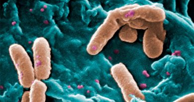 Aparecen superbacterias por el uso excesivo de antibióticos durante la pandemia