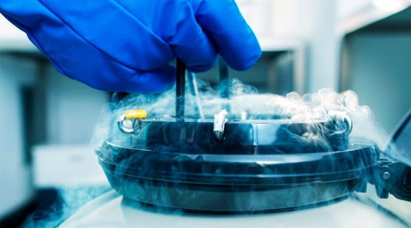 Los tejidos bioimpresos en 3D ya pueden almacenarse en un congelador