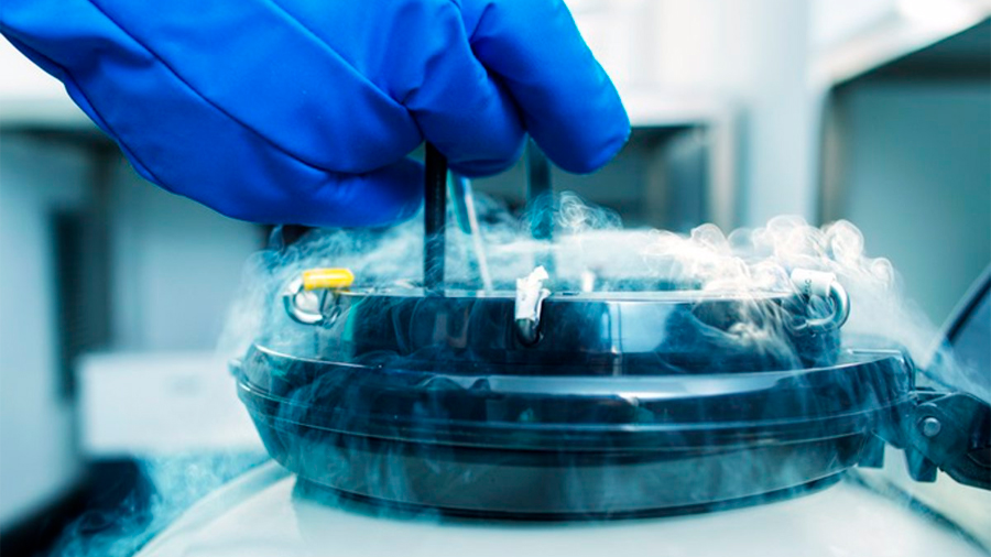 Los tejidos bioimpresos en 3D ya pueden almacenarse en un congelador