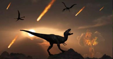 La verdadera edad oscura: así fueron los meses posteriores a la extinción de los dinosaurios