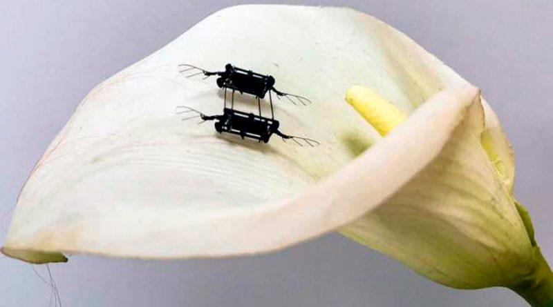 Crean drones insectoides para operaciones de rescate