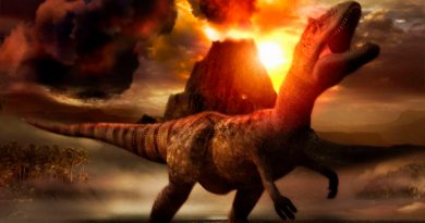 Una erupción volcánica hace 200 millones de años provocó el desarrollo de los dinosaurios