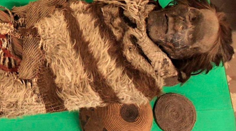 Piojos hallados en momias develan pistas de migración humana