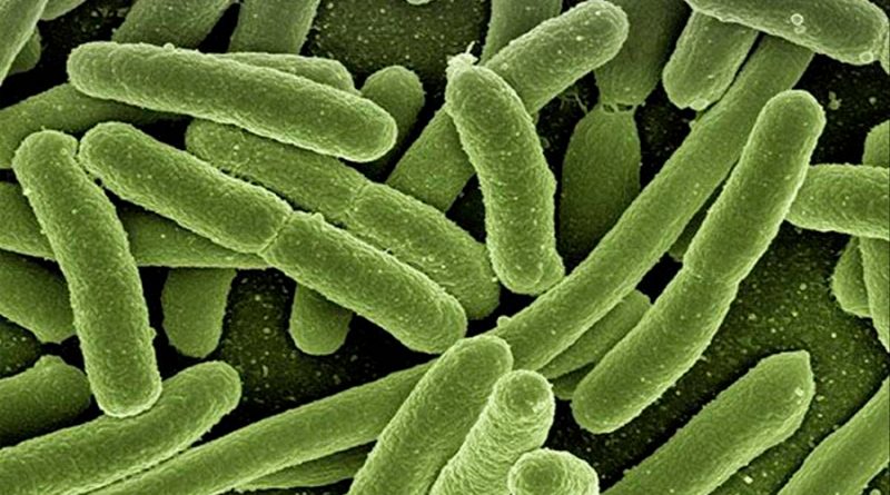 Superordenadores diseñan antibióticos que superan los mecanismos de la resistencia bacteriana