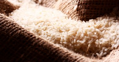 Científicos argentinos descubren un arroz con 30% más proteínas