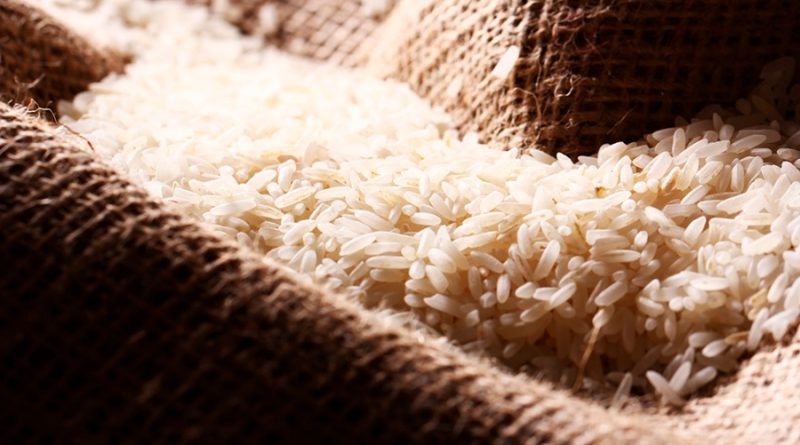 Científicos argentinos descubren un arroz con 30% más proteínas