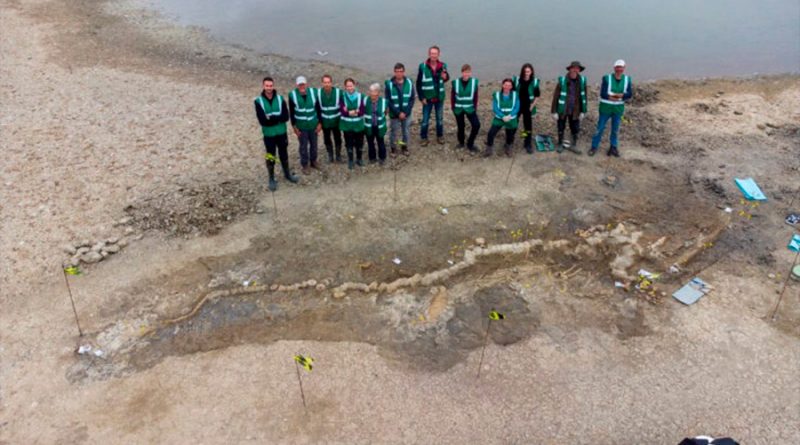 Hallado el fósil de un dragón marino de 10 metros en una laguna inglesa