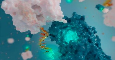 Químicos usan ADN para crear la antena más diminuta del mundo para monitorear proteínas