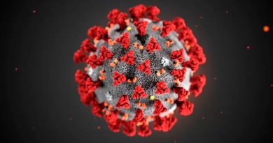 Covid: las vacunas de células T podrían ser la clave para la inmunidad a largo plazo