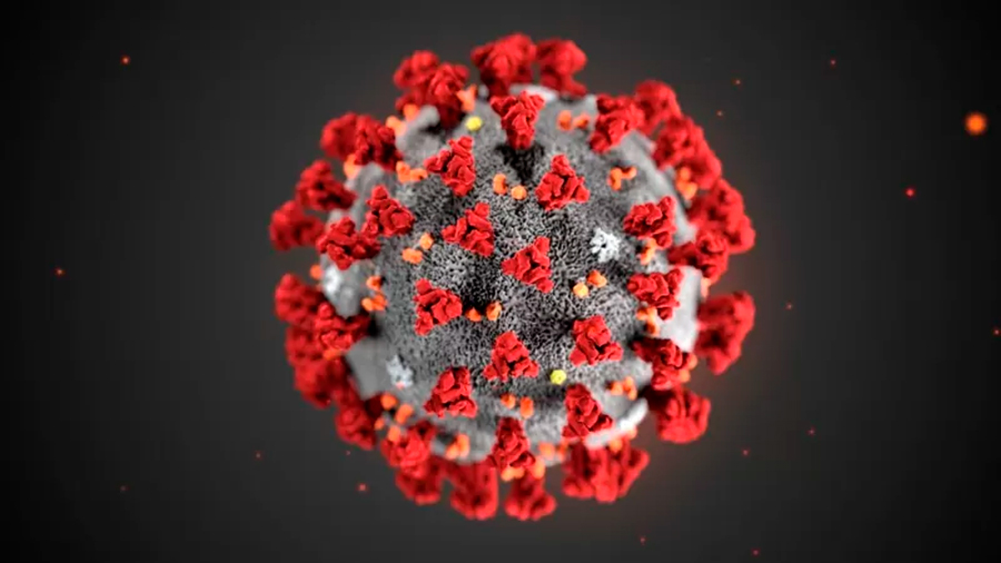 Covid: las vacunas de células T podrían ser la clave para la inmunidad a largo plazo