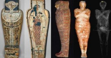 El feto de una momia egipcia se ha conservado en su útero durante 2.000 años