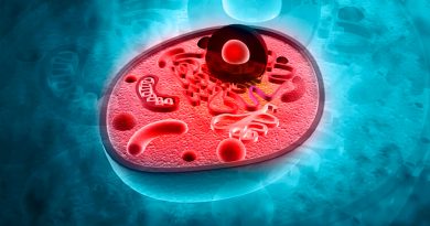 La adquisición mitocondrial y los inicios de la célula eucariota: dos perspectivas temporales