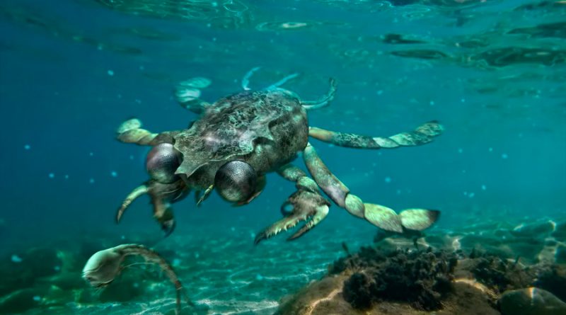 Así era el cangrejo prehistórico más raro del mundo