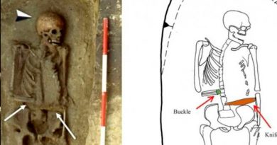 El curioso caso del guerrero medieval que reemplazó su brazo amputado por un cuchillo