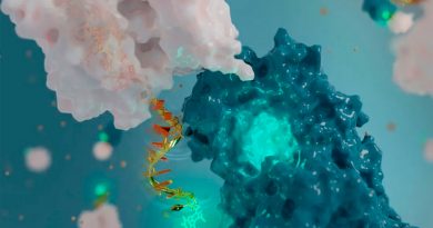 Científicos crean nanoantenas de ADN capaces de monitorear proteínas en el cuerpo