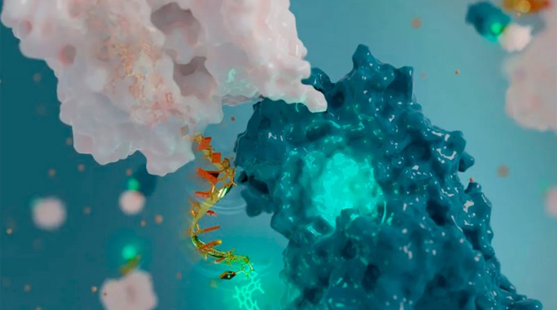 Científicos crean nanoantenas de ADN capaces de monitorear proteínas en el cuerpo