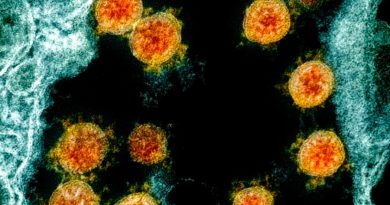 Una nueva herramienta saca a la luz 130,000 virus desconocidos