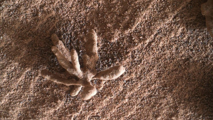 Curiosity descubre una flor de cristales en la superficie de Marte