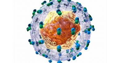 Descubren una molécula natural que inhibe la replicación del virus de la hepatitis C
