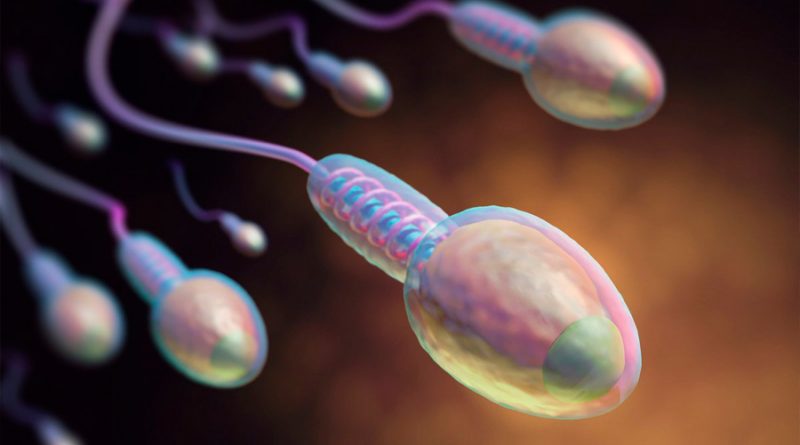 Científicos crean un nuevo método anticonceptivo para atrapar a los espermatozoides usando el semen