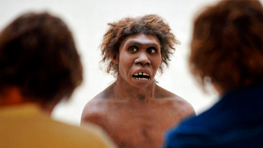 ADN neandertal afecta nuestra inmunidad ante Covid-19