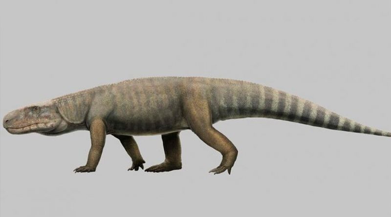 Un depredador de hace 240 millones de años fue ancestro del cocodrilo