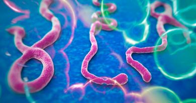 El virus del ébola puede esconderse en el cerebro y persistir años después del tratamiento