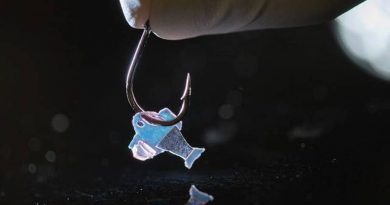 Construyen peces robóticos impulsados por células del corazón de un humano