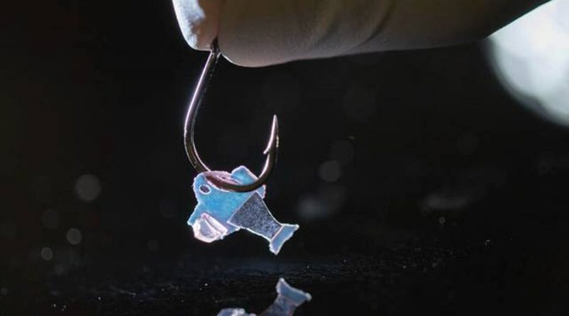Construyen peces robóticos impulsados por células del corazón de un humano