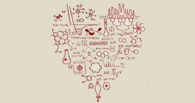 ¿Amor, Ciencia o Redes Sociales?