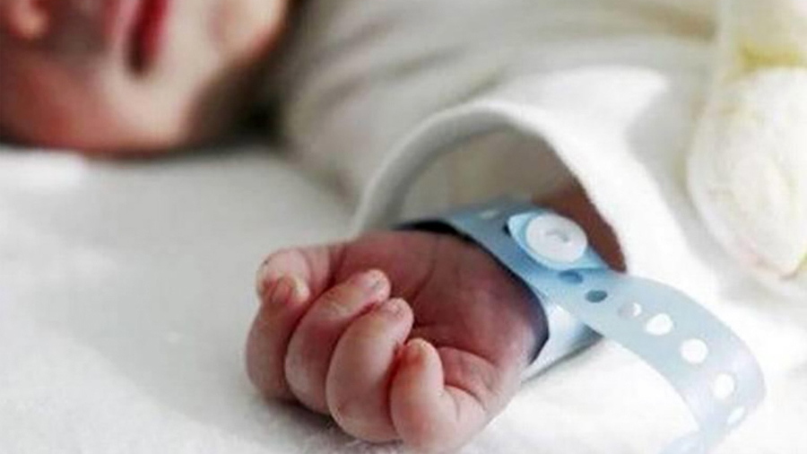 Bebés crean anticuerpos contra el covid gracias a la lactancia materna