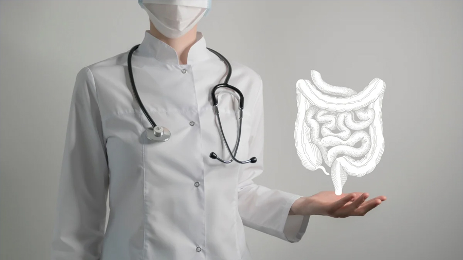 Investigadores mexicanos encuentran cortezas para aliviar la colitis